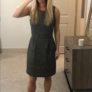 J Crew Dress